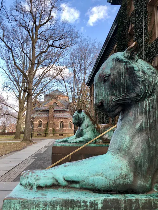 Nassau Hall Tigers