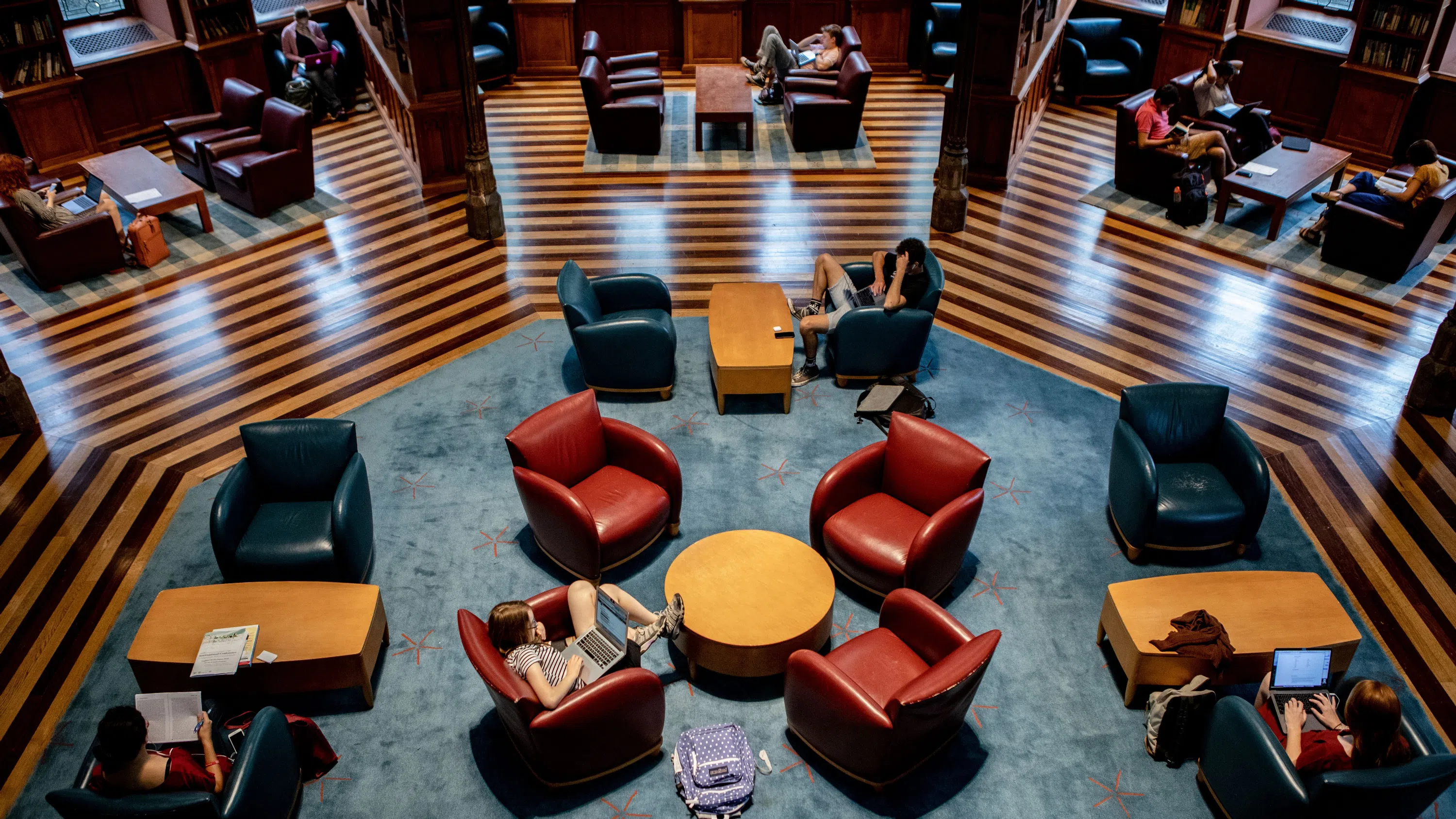 View of Study Area from Above