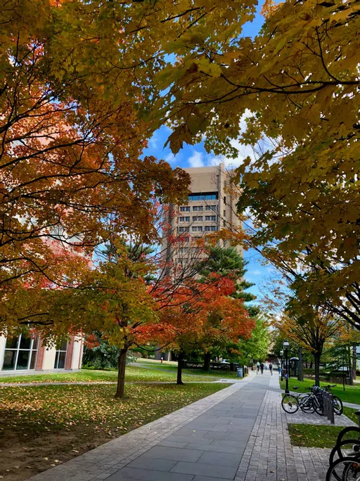 Fine Hall in Fall