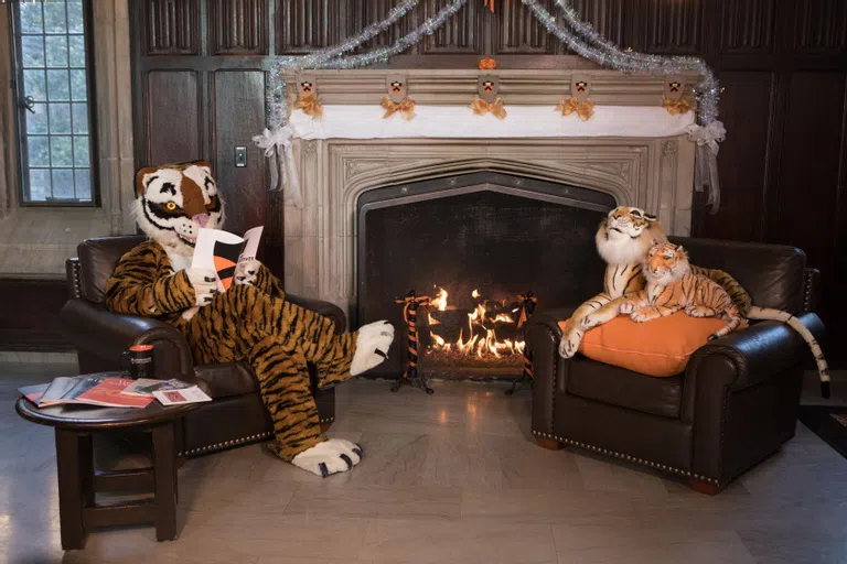 Tigers at the fireplace