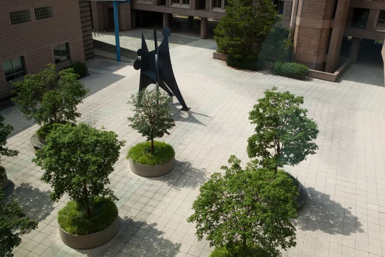 Aerial View of Plaza Trees