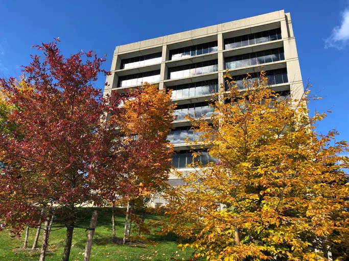 New South Building Exterior