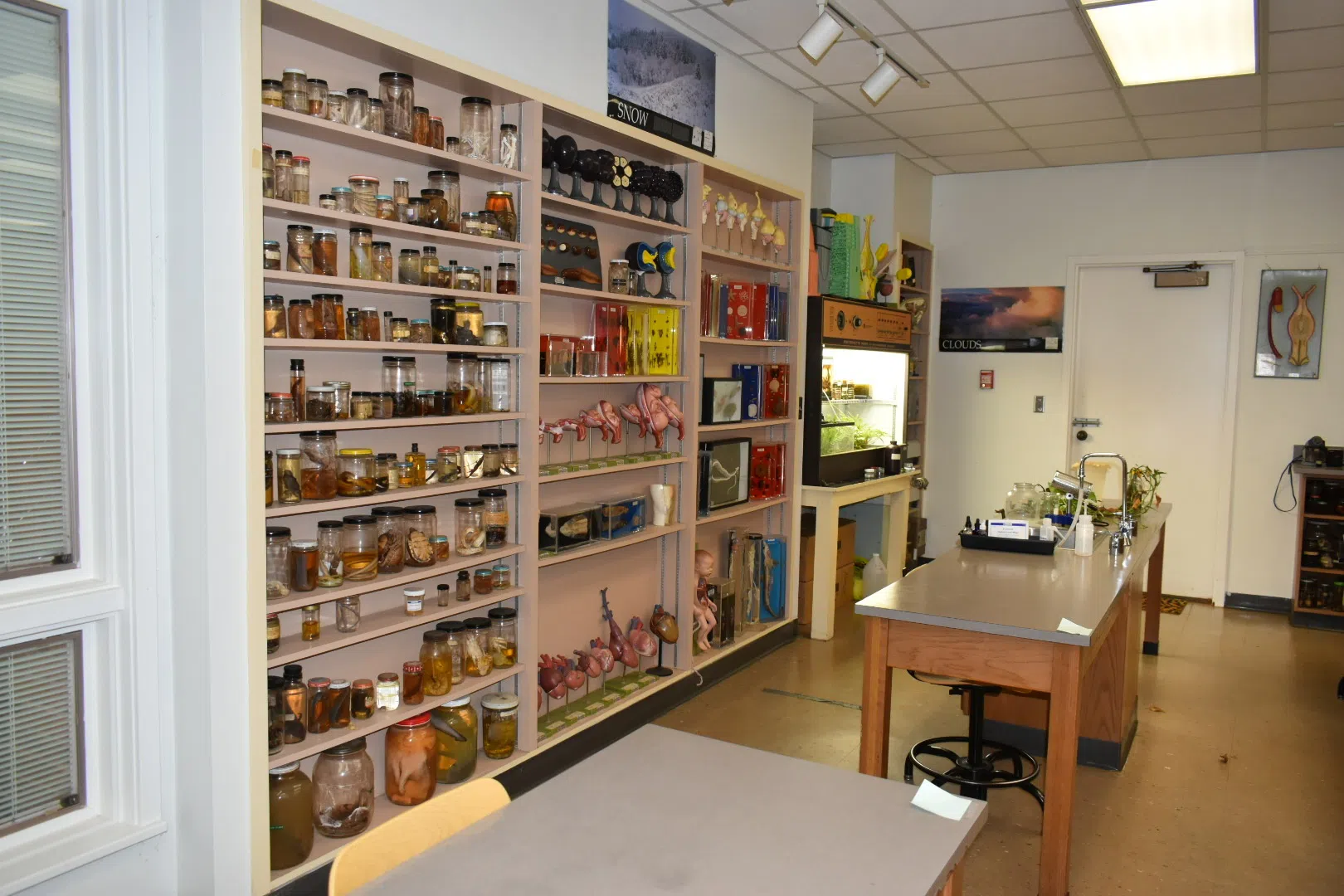 Science specimens on shelving inside a lab in the science building on the campus of Andrew College.