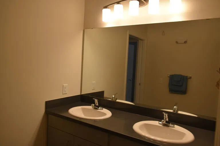 Images of the two sink vanity and lighted counter space and a shower stall located in a Patterson House.