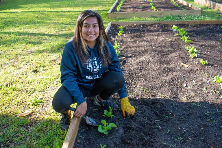 Images of differnet students working in the dirt with plants in the community garden on the campus of Andrew College across from Old Main.