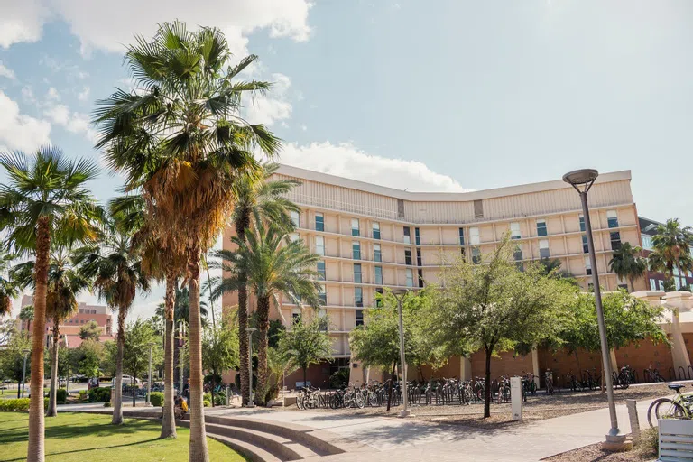 Palm trees, sidewalk and bike stands in front of seven-story brick building.