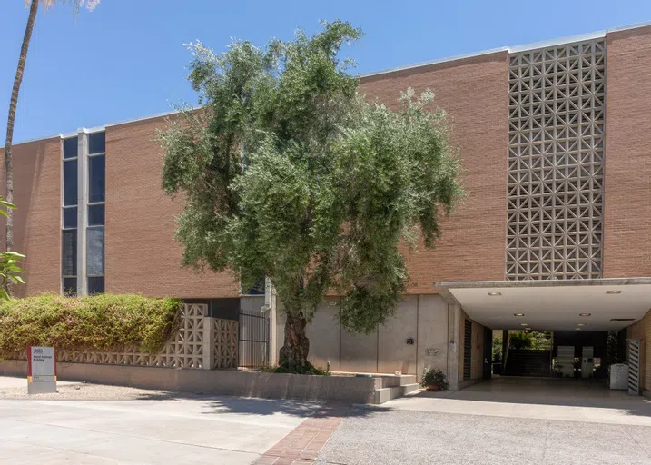 a tree stands in front of a concrete building.