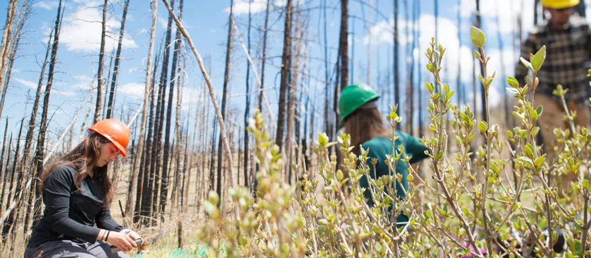 Warner College of Natural Resources Tour