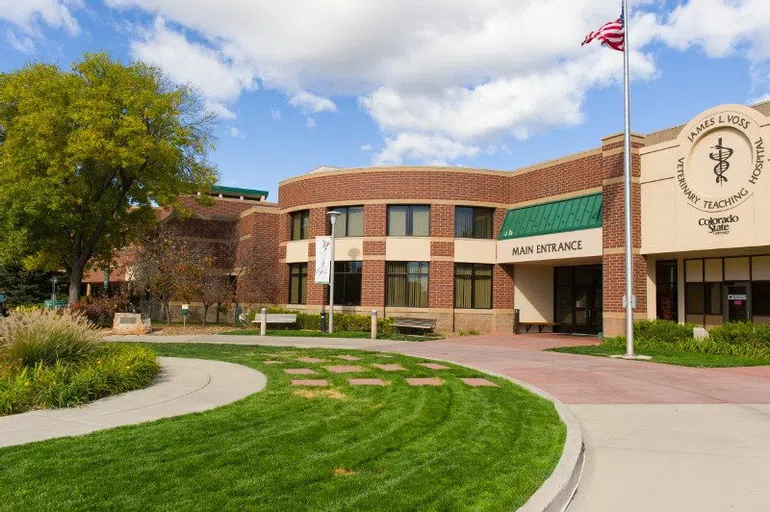 The main entrance of the CSU Veterinary Teaching Hospital