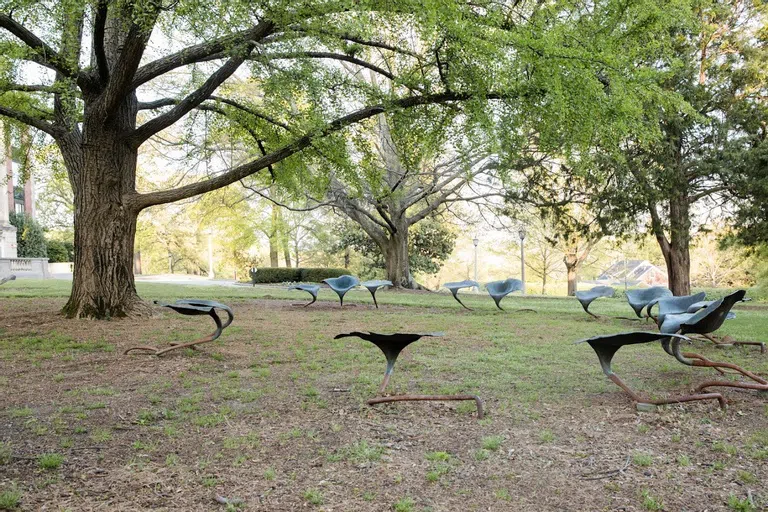 View of the outdoor classroom underneath a Ginkgo tree