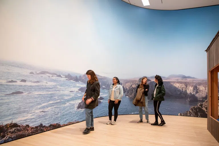 Four students look at a wall-sized photo of a landscape. 