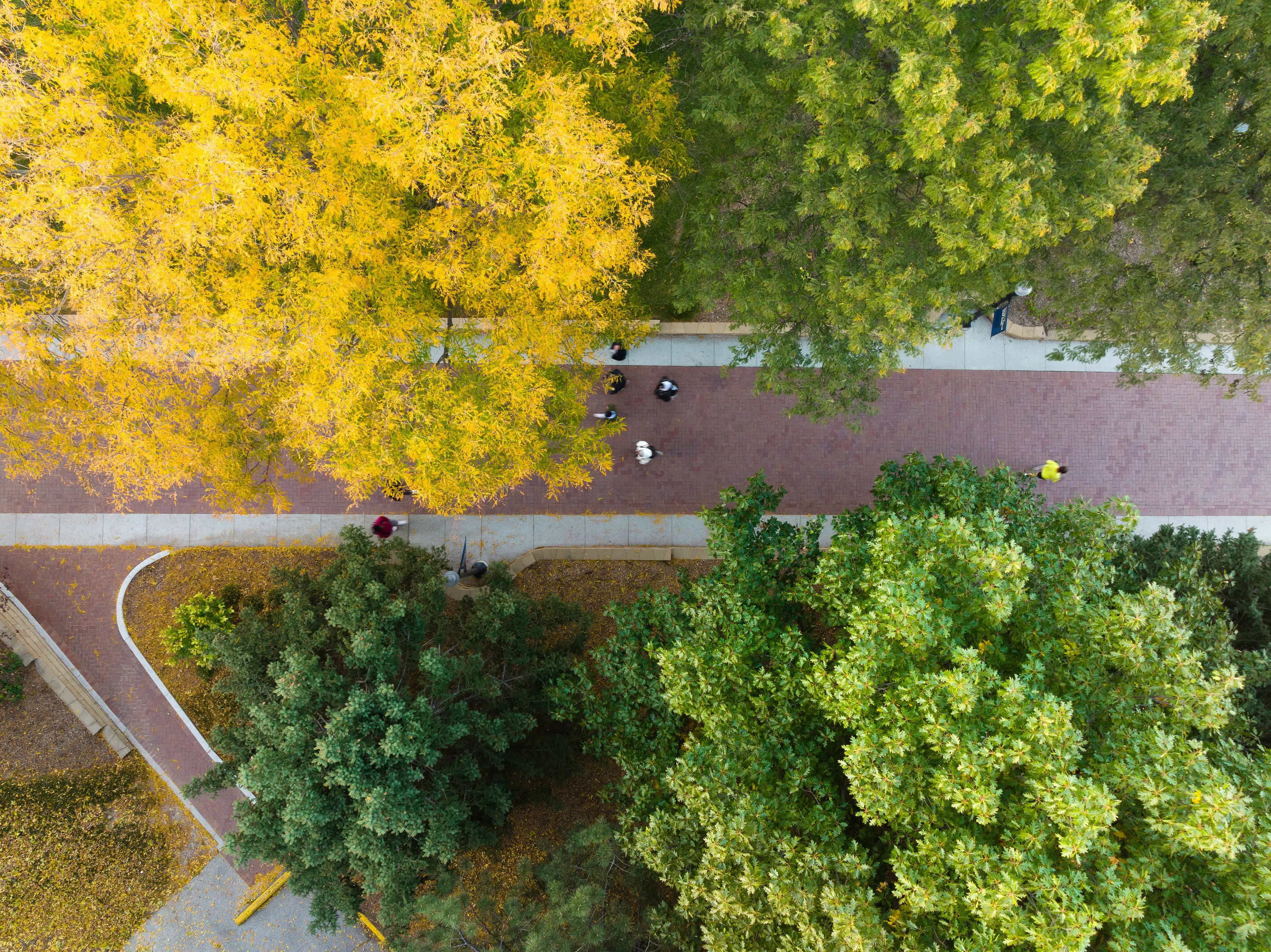 The Mall with colorful trees