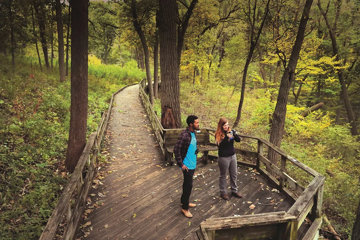 Fontenelle Forest Boardwalk