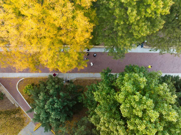 The Mall with colorful trees