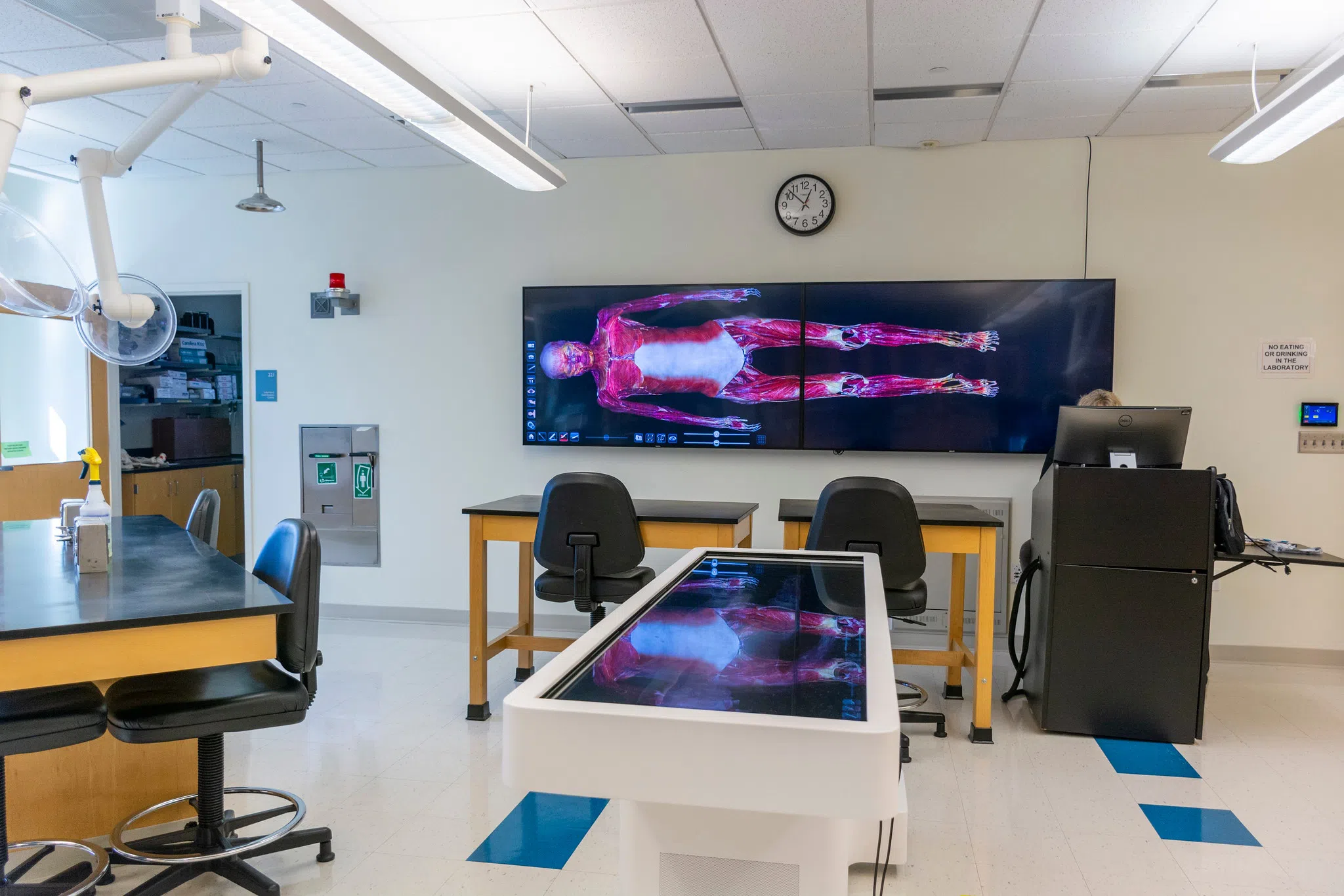 Virtual Dissection Table in the lab