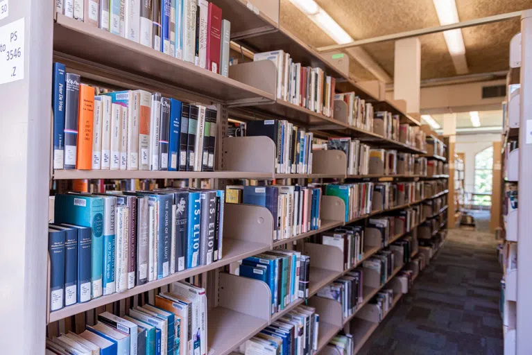 Book shelf in the Library