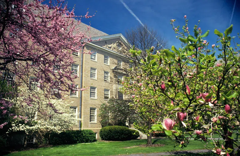 The exterior of Martha Van Rensselaer Hall in springtime, with flowering trees in the foreground.