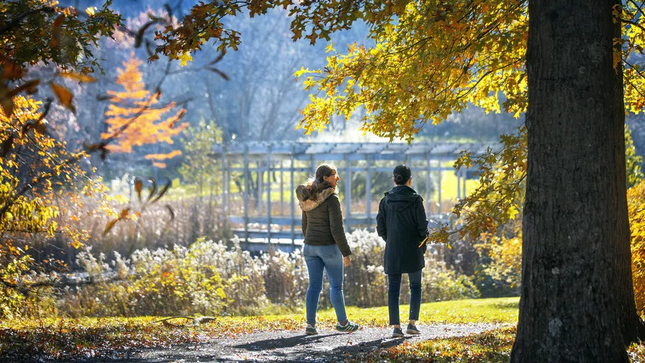 Visitors walk the path around Houston Pond at F. R. Newman Arboretum, a part of Cornell Botanic Gardens.