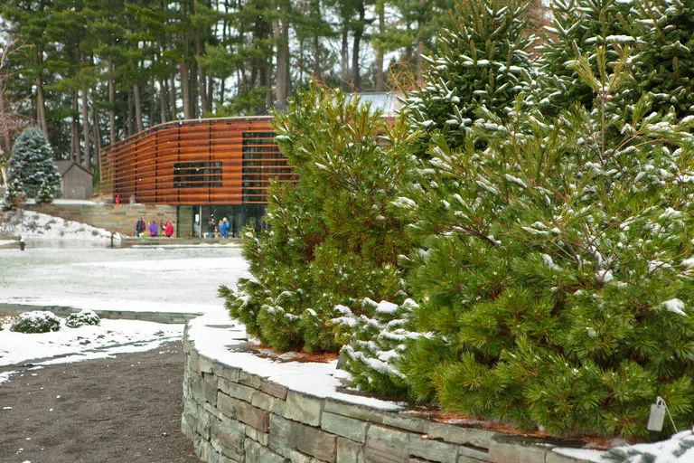 The Nevin Welcome Center at Cornell Botanic Gardens surrounded by snowy pines in winter.