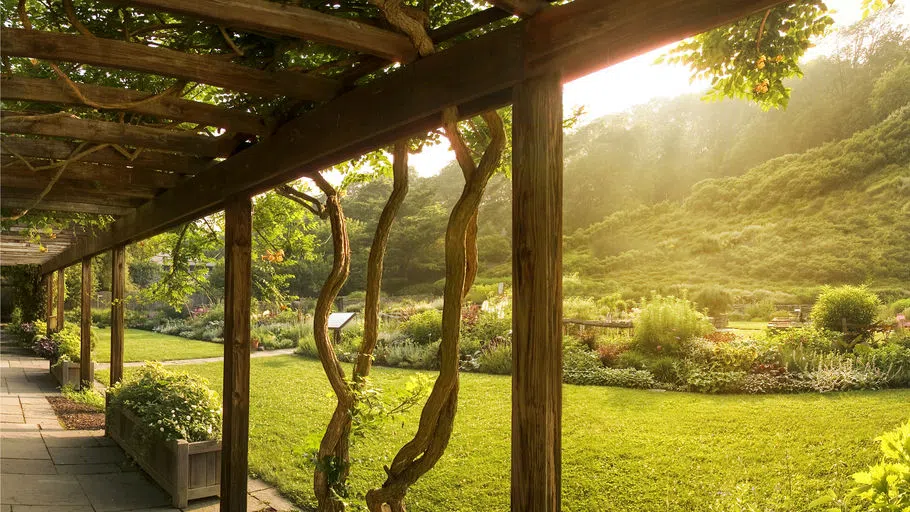 Sunlight shines across the Robison Herb Garden at Cornell Botanic Gardens with a trellis of vines hanging above. The herb garden features 500 varieties of herbs throughout 17 theme beds.