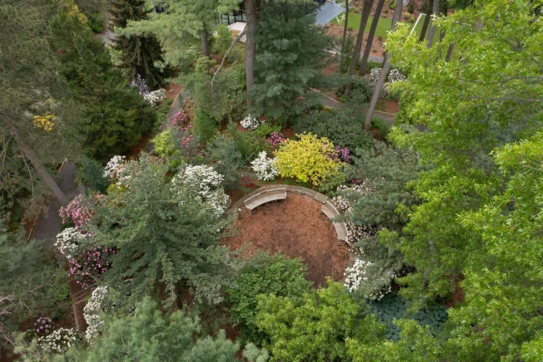 An aerial view of the Comstock Knoll rhododendron collection in peek bloom at Cornell Botanic Gardens. Credit: Jay Potter (CBG)