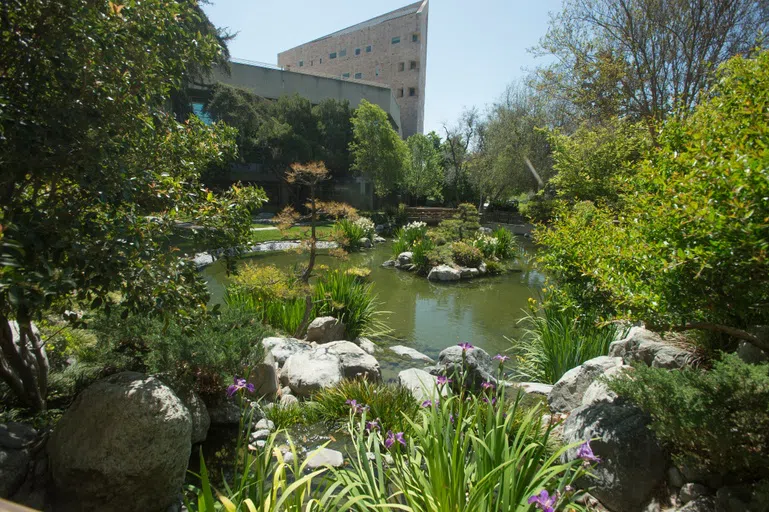 garden, japanese 