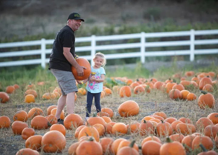 Pumpkin Fest