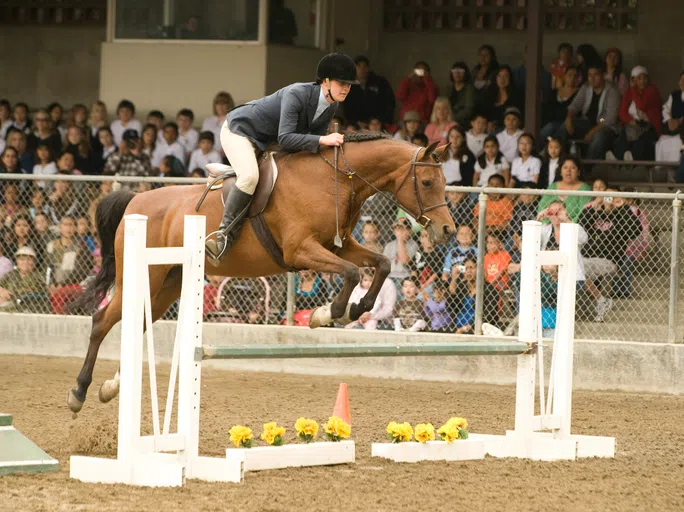 Horse Show