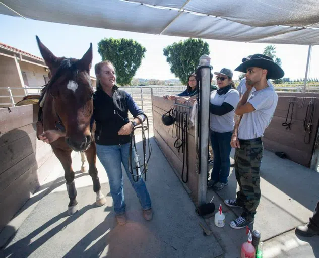 Arabian Horse Center