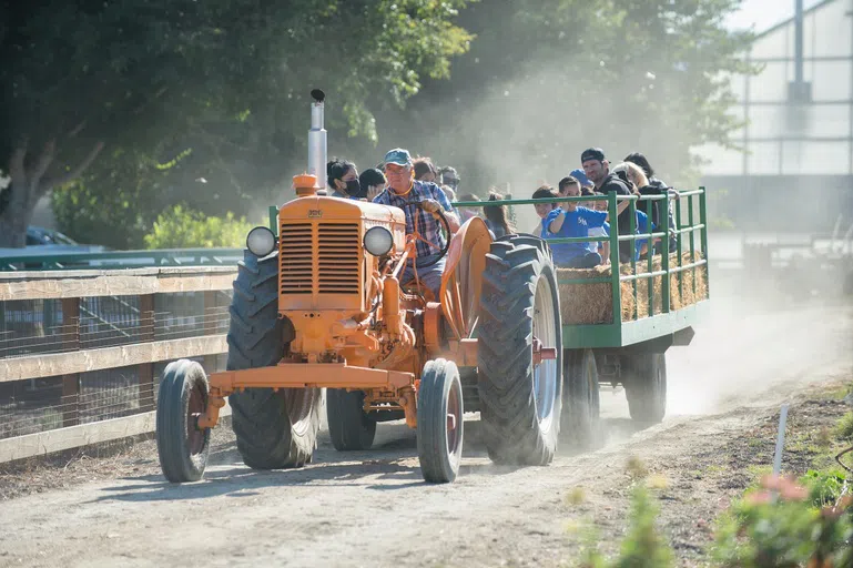 Pumpkin Fest Hayrides