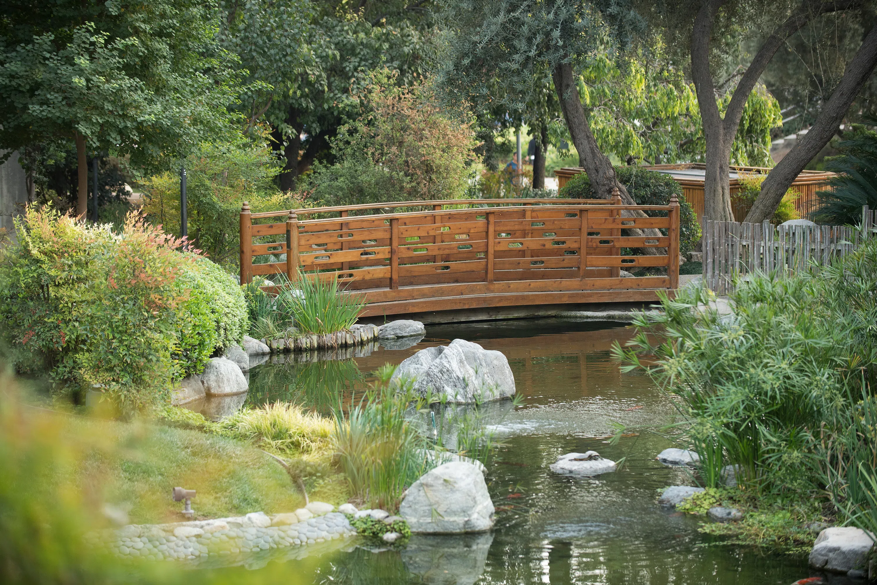 A bridge across a pond in the Japanese garden