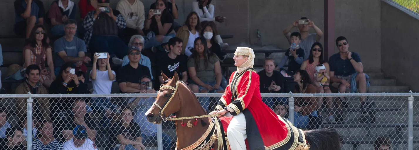 Sunday Horse Show