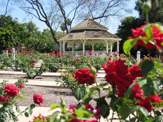 Rose Garden