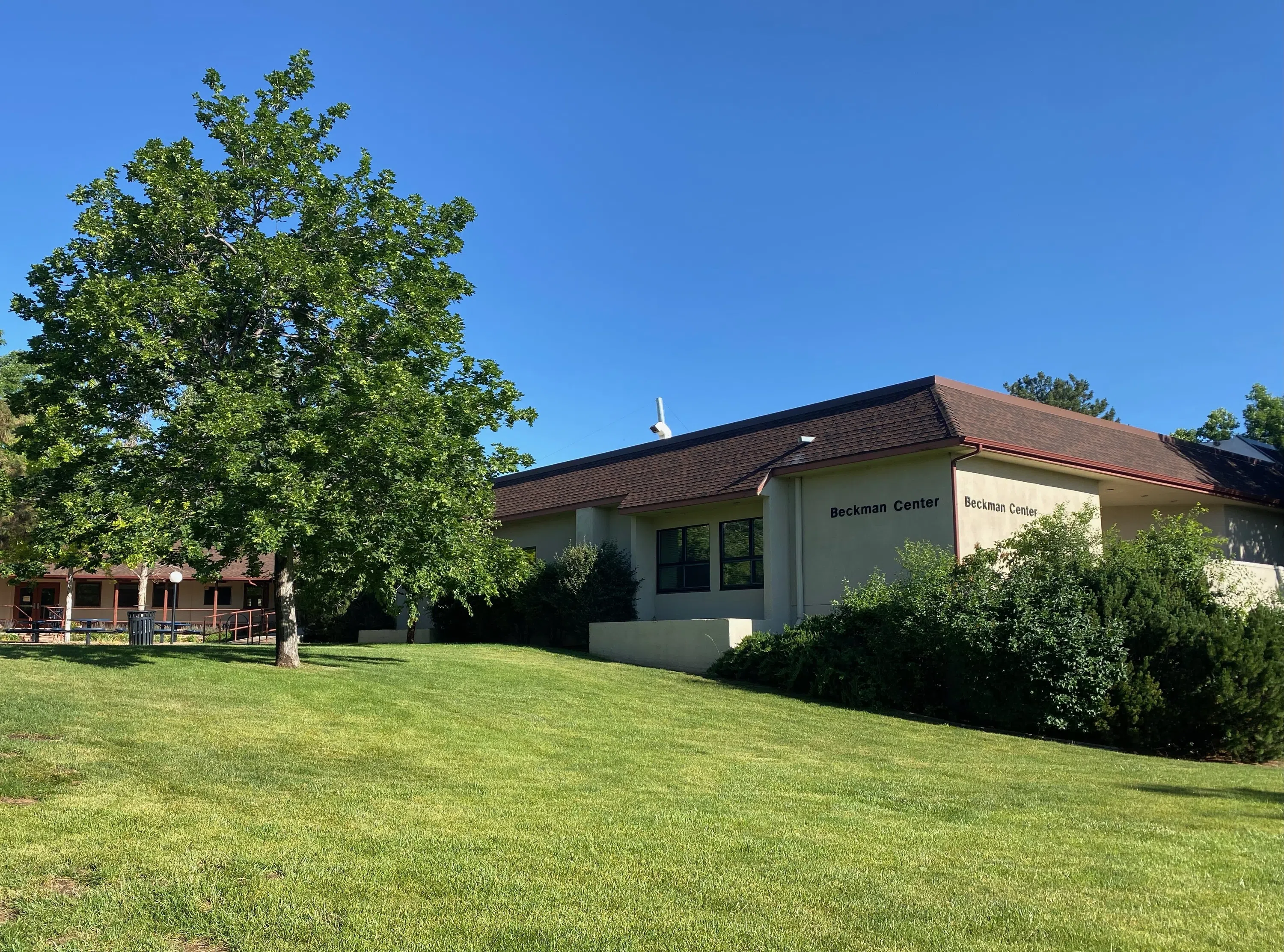 green grass and tree with white building and brown roof