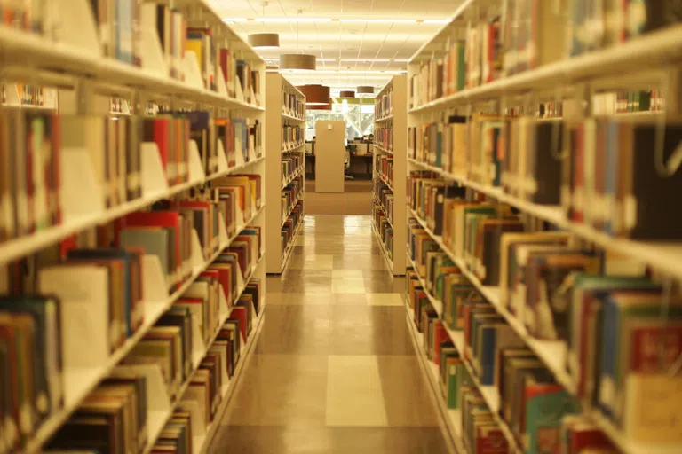 rows of books on shelves