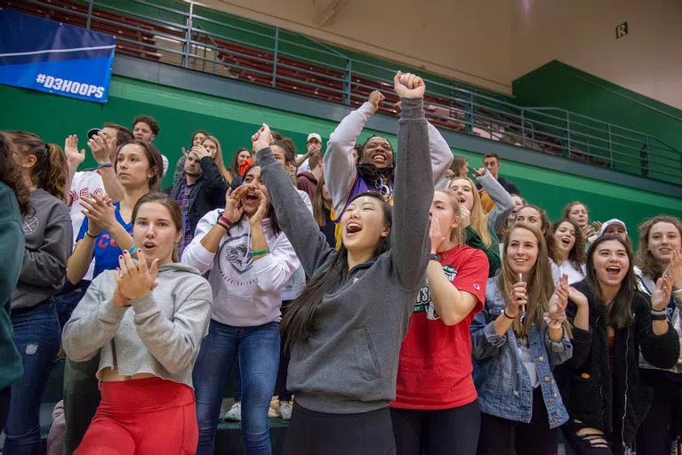 Crowd cheering in the stands