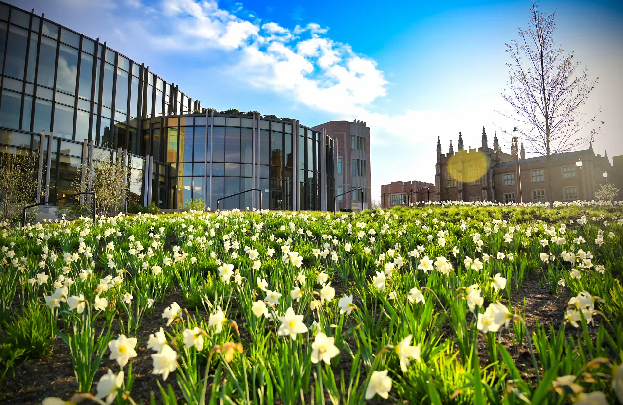 Exterior shot of Hillman Hall set behind a landscape of yellow flowers