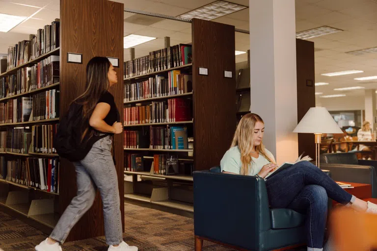 Students studying in library