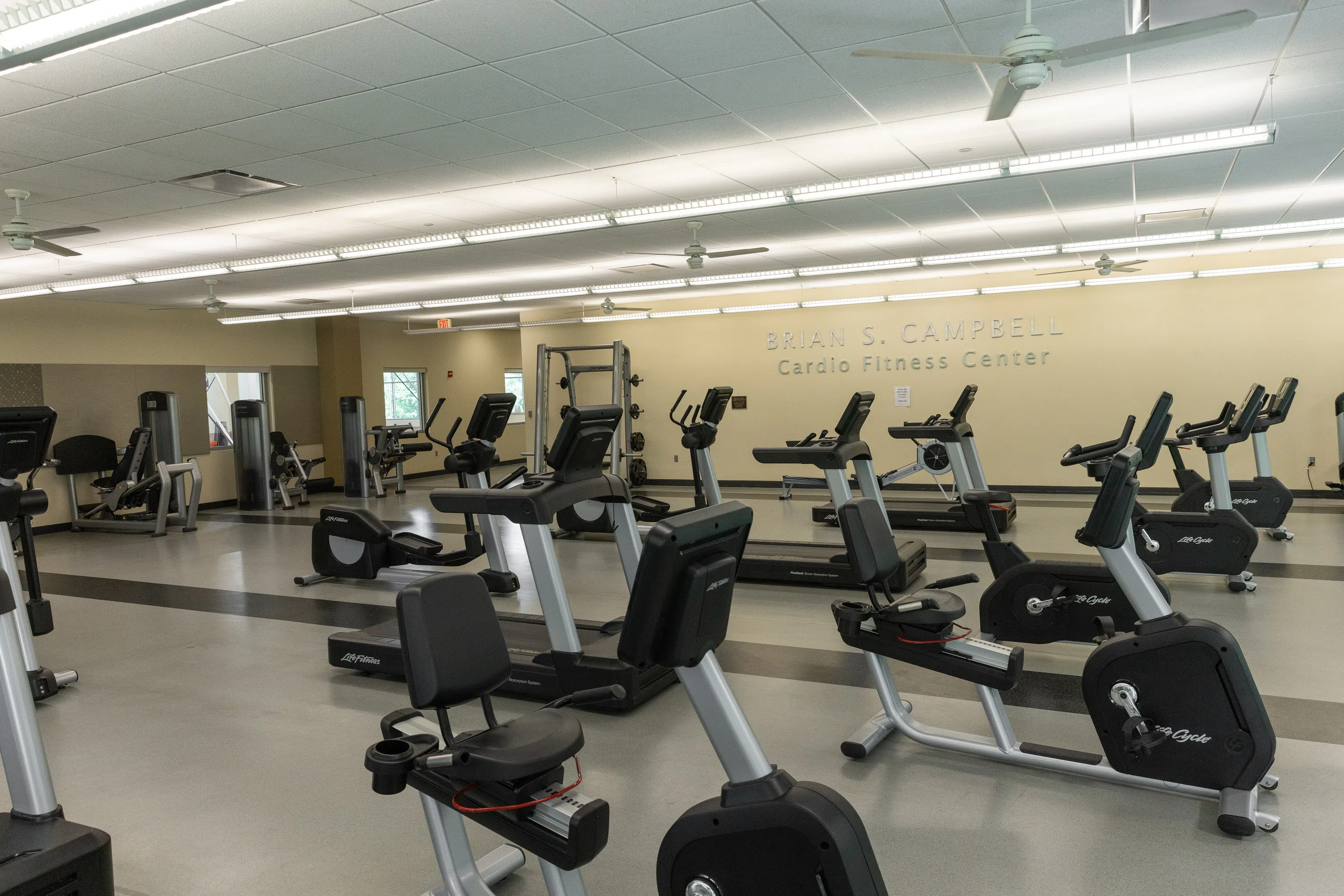 Cardio equipment