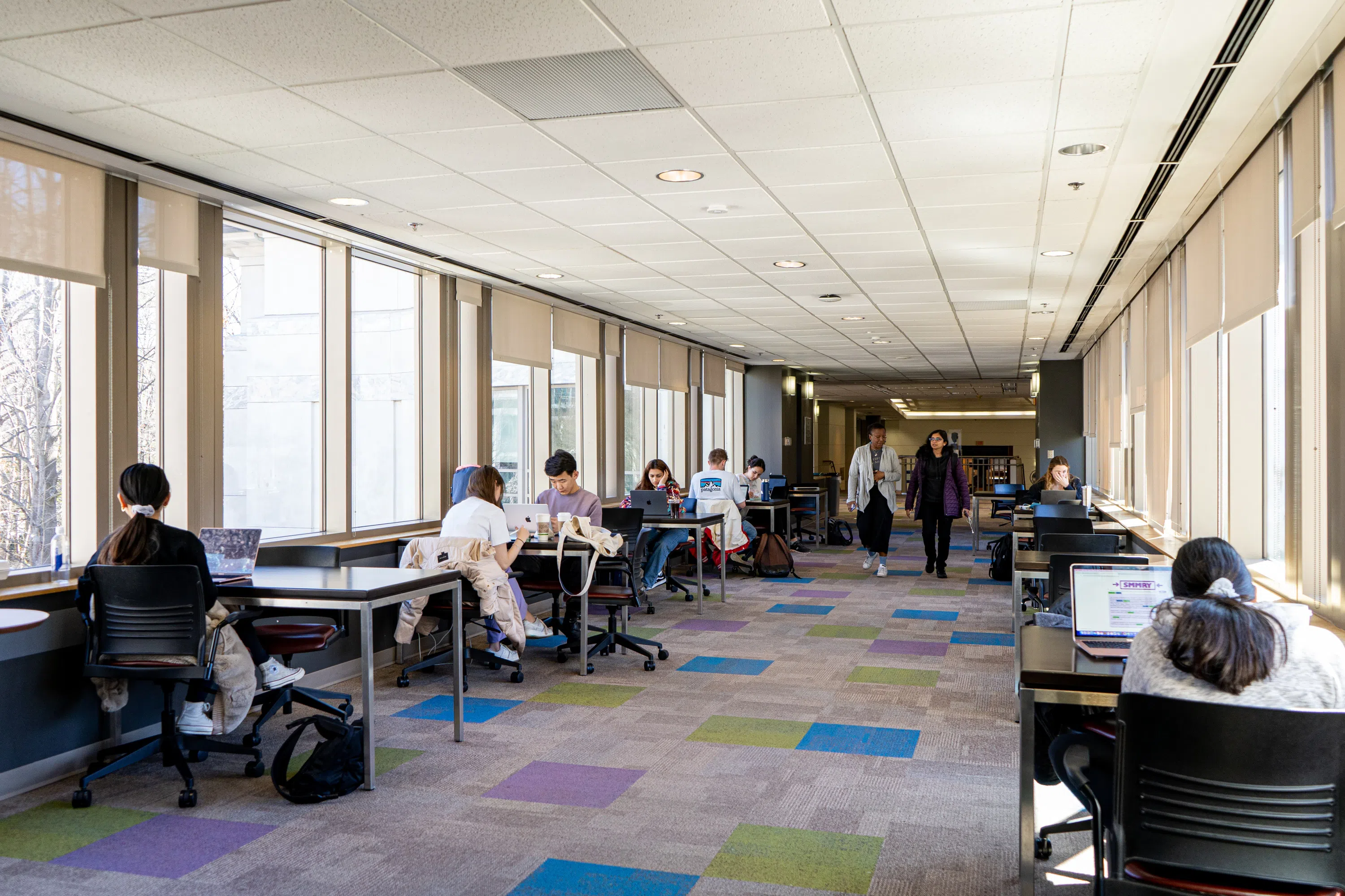 Library Skybridge