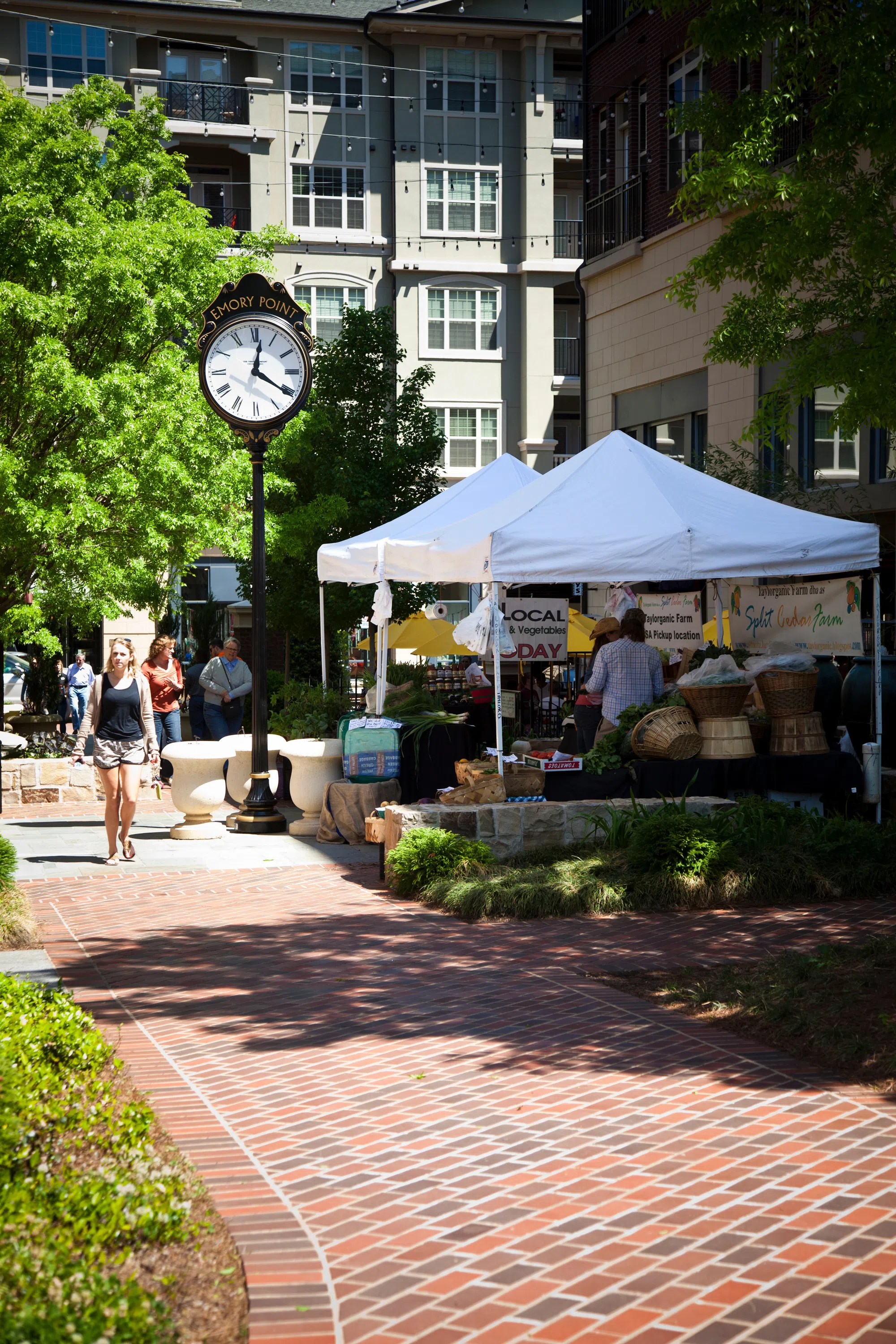 Farmers Market