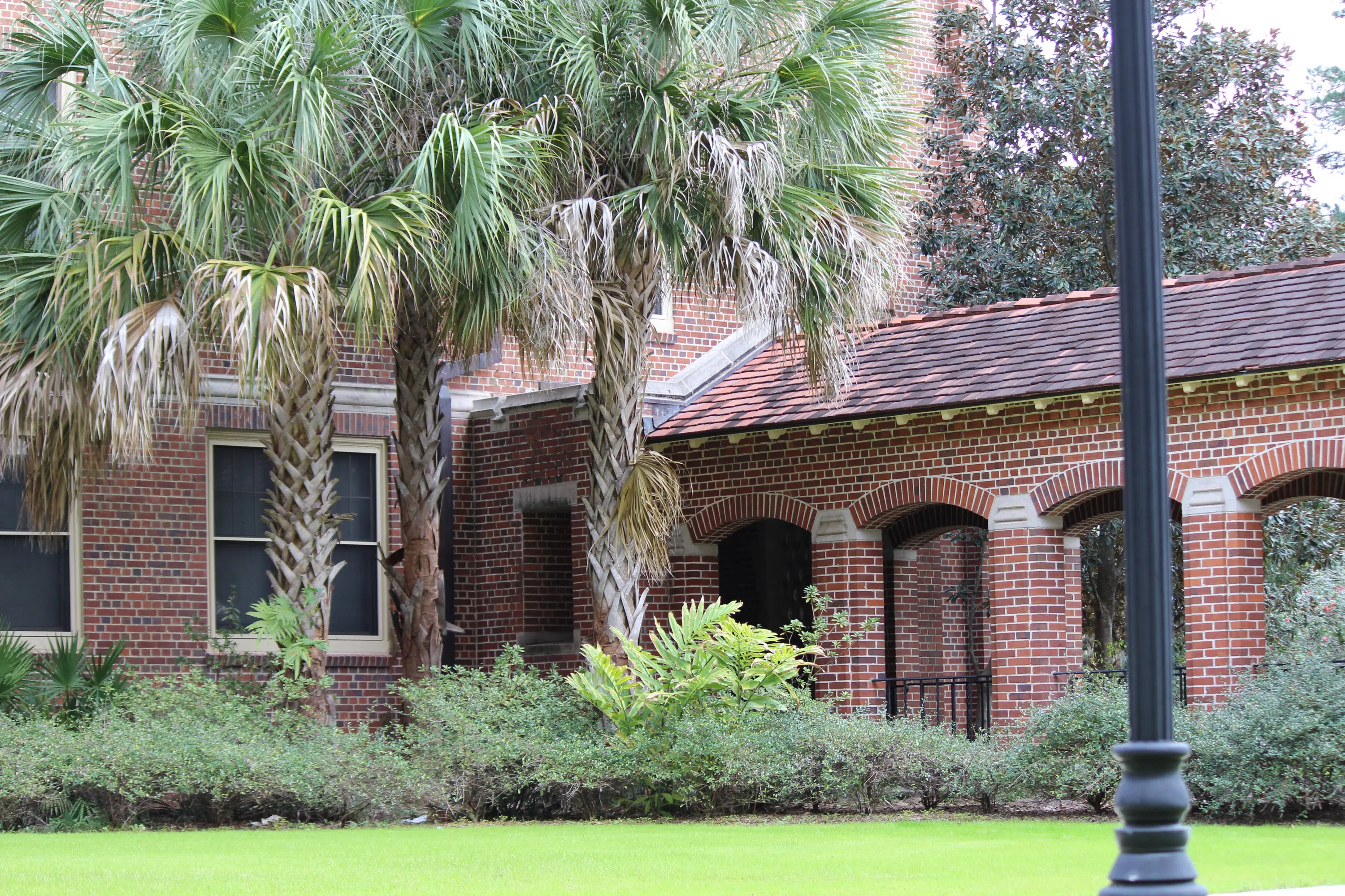 An exterior view of a historic renovated hall with a palm tree