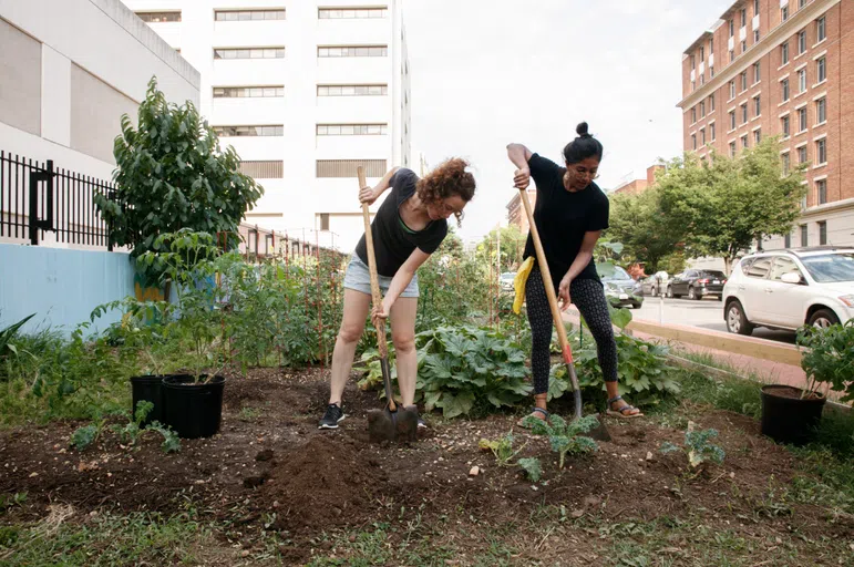 Students gardening in the Grow Garden