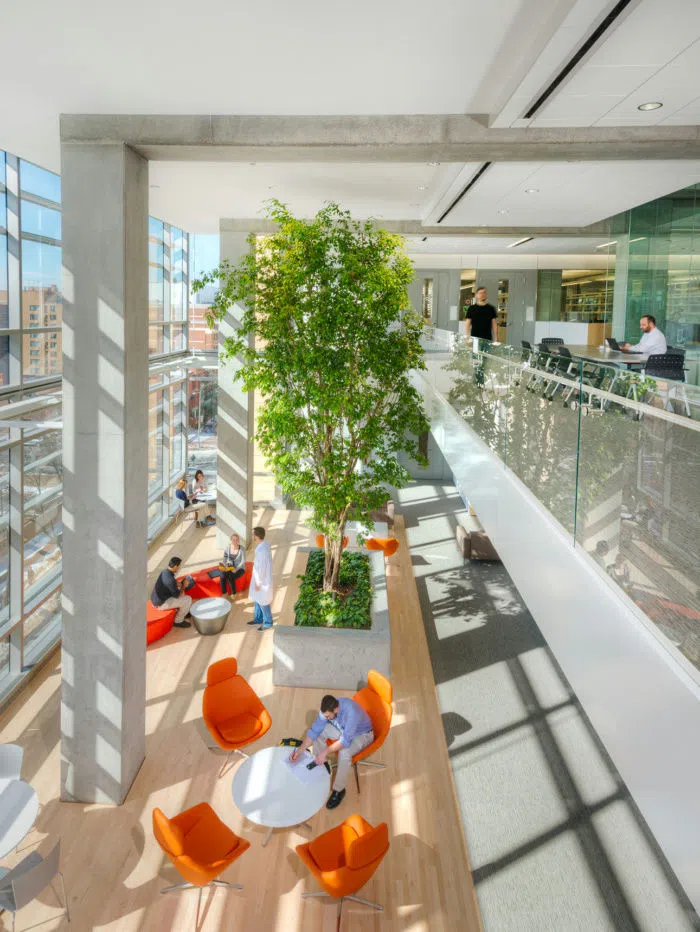 Photo of 3rd Floor Research/Office lounge space.