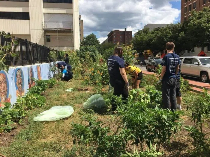 Students volunteering in GroW Garden