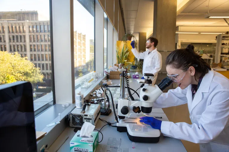 Students studying samples using a microscope