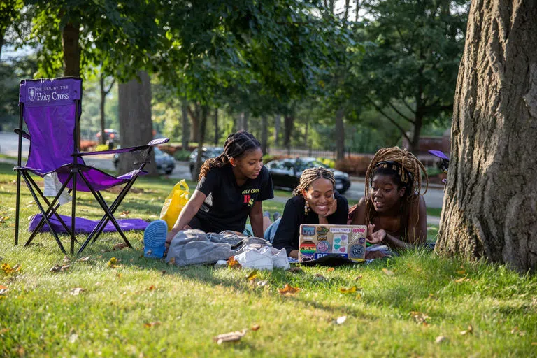 Students studying in the grass