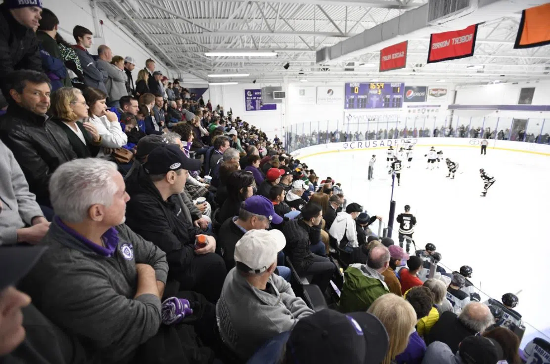 Fans watch hockey action