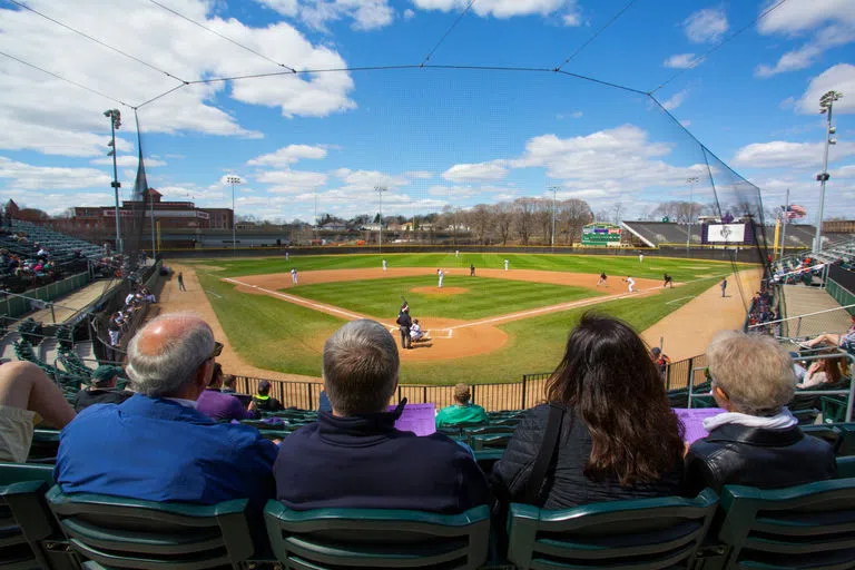 Spectators at the baseball field 