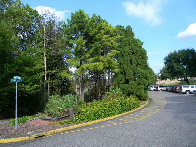 Community Garden